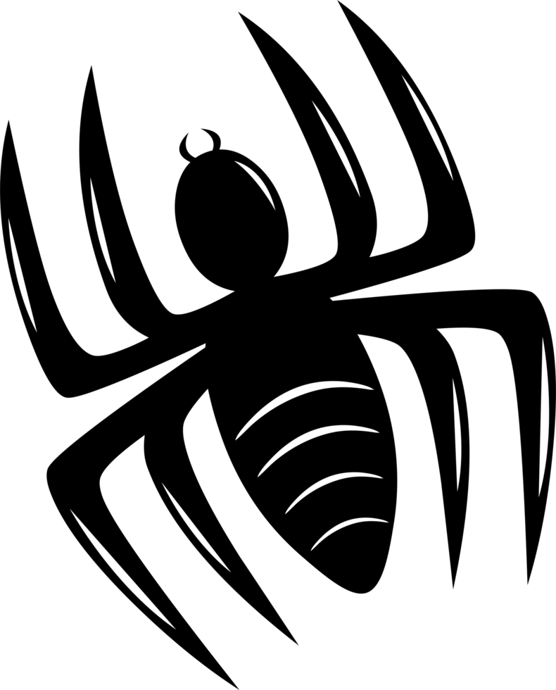 SPINNE