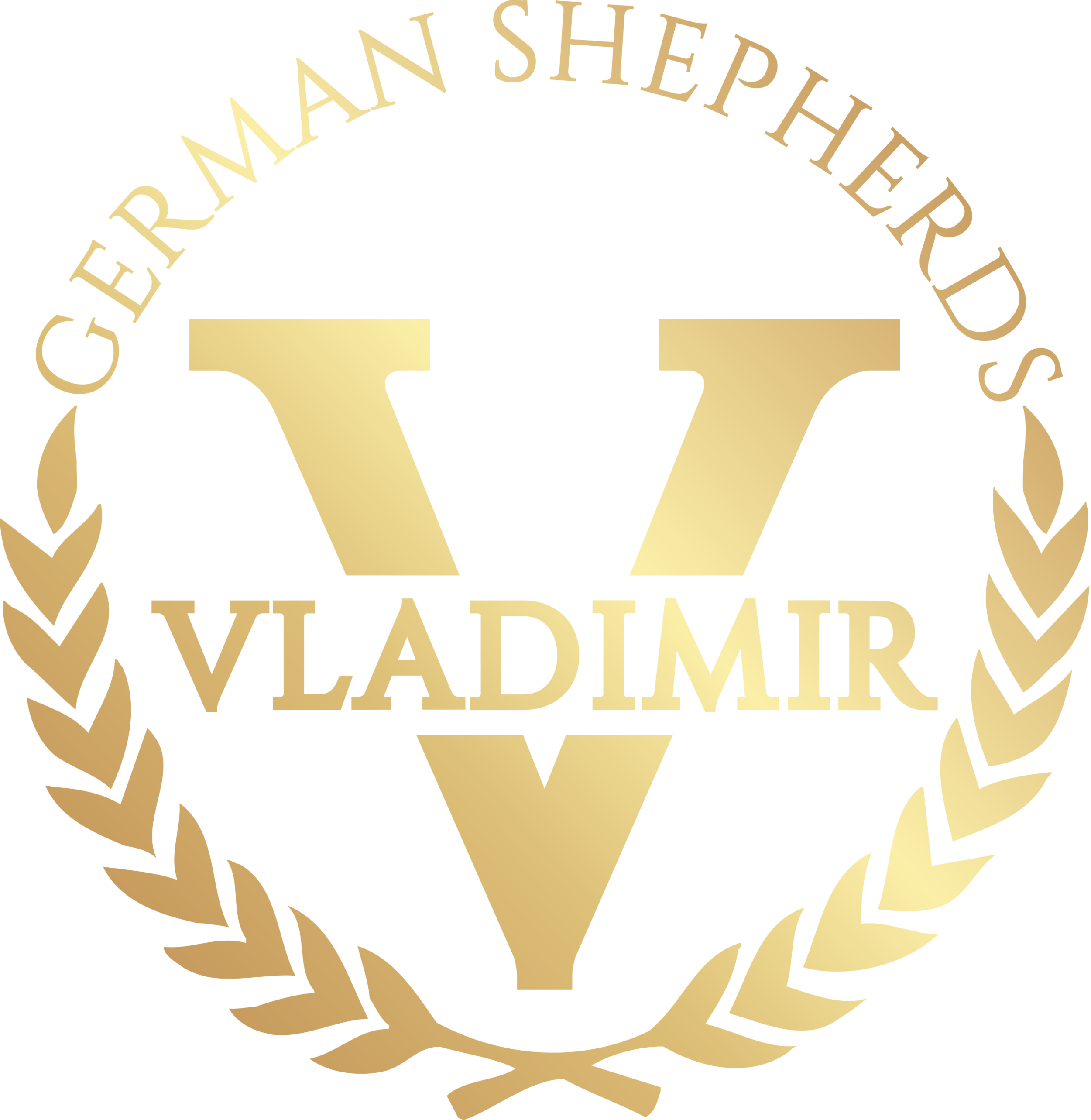 Vladimir