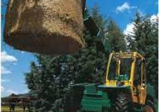 3409 Italmacchine Telehandler Specs & Dimensions