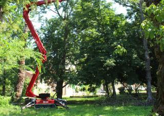 Lightlift 18.80 Performance IIIS Hinowa Crawler Articulating Boom Lifts