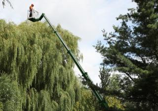TEUPEN TC92SJ Crawler Telescopic Boom Lifts (2023 - 2025) Specifications & Dimensions