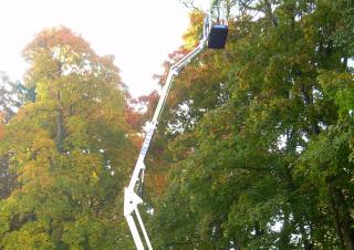 Traccess 170 CTE Crawler Articulating Boom Lifts