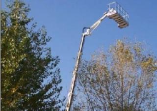 TSJ 34 Palazzani Crawler Telescopic Boom Lifts