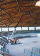 TSJ 38 Palazzani Wheeled Telescopic Boom Lifts