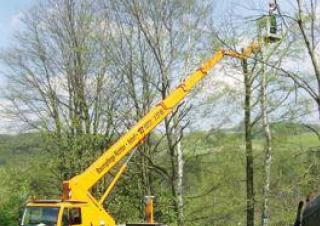 WT 270 Palfinger Truck Mounted Telescopic Boom Lifts